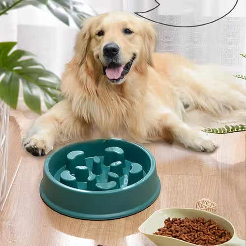 Anti-Choking Slow Feeder and Water Bowl Station Set