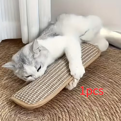 Cat Toy Game Pillow and Cat Scratching Pad for Solo