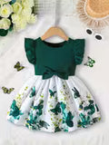 Baby Girls' Casual Dress