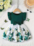 Baby Girls' Casual Dress