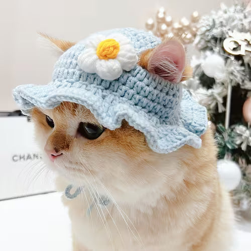Handmade Cat Hat