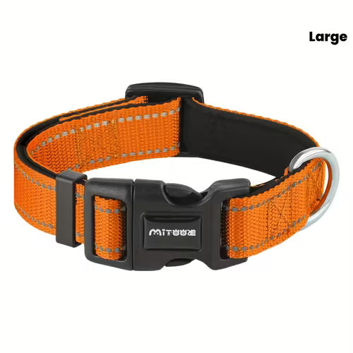 Reflective Neoprene Dog Collar/Comfort