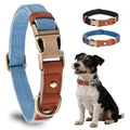 Denim Hemp Dog Collar