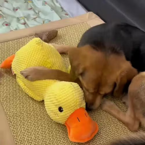 1pc Large Loud Squeaker Plush Duck Dog Toy with