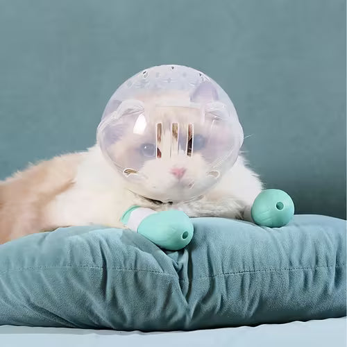 Cat Grooming Set: Transparent Astronaut Bubble Helmet