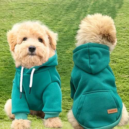 New Pet Hoodie / Sweatshirt Schnauzer Bichon Teddy