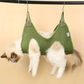 Cats and Dogs Modify / Cats and Dog Hammons / Useful