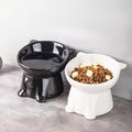 2-Pack Elevated Anti-Spill Cat and Dog Bowls - 15°