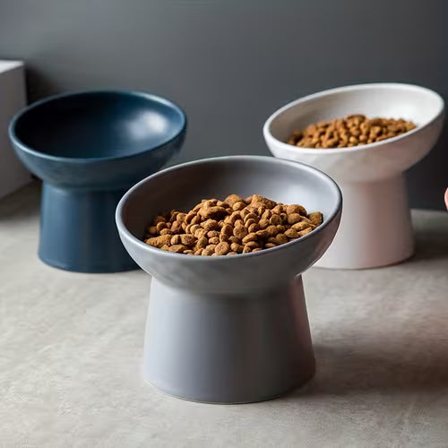 Ceramic Cat Bowl for Pets