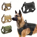 Large Dog Lead Rope Tactical Dog Collar Training Rope