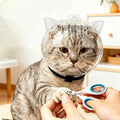 2pcs Transparent Breathable Grooming Helmet & Nail