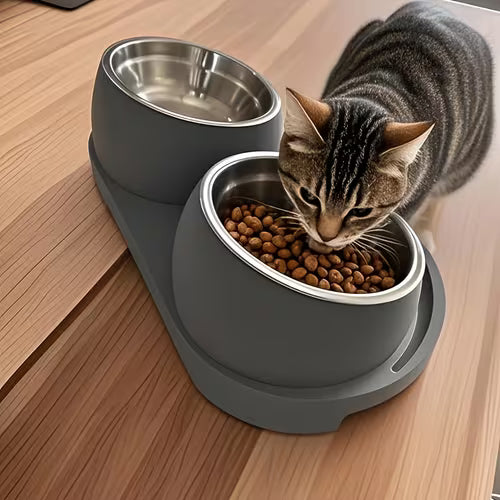 Stainless Steel Pet Feeding and Water Bowl