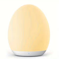 Egg-Shaped Night Light with USB Port