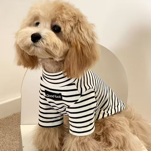 Pet Dog Clothing