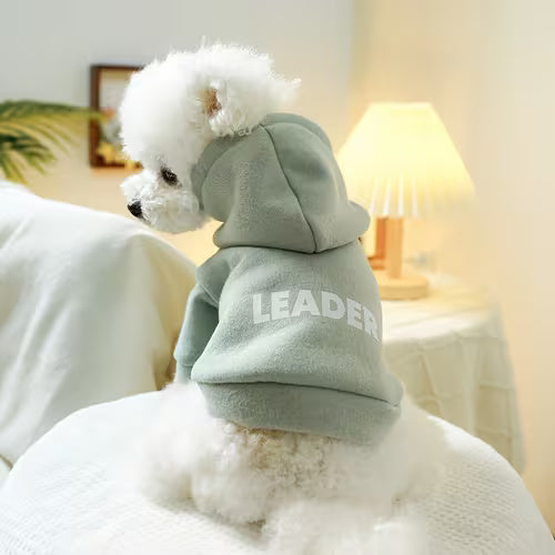 Leader - Beige Green Light Board Sweatshirt with Pet