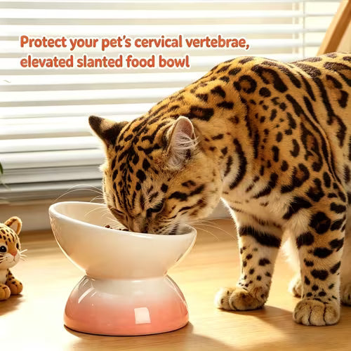 Two-Color Design Cat And Dog Feeder - High-Legged 15°