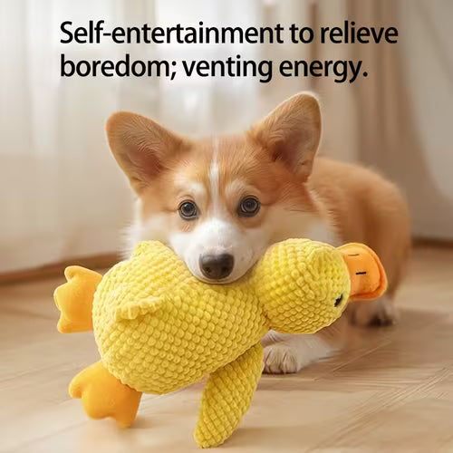 Plush Duck Toy/1 for Dogs/Durable