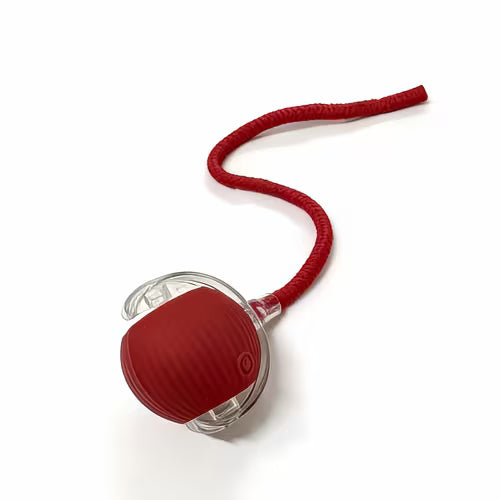 The cat toy ball is charged through USB and has a