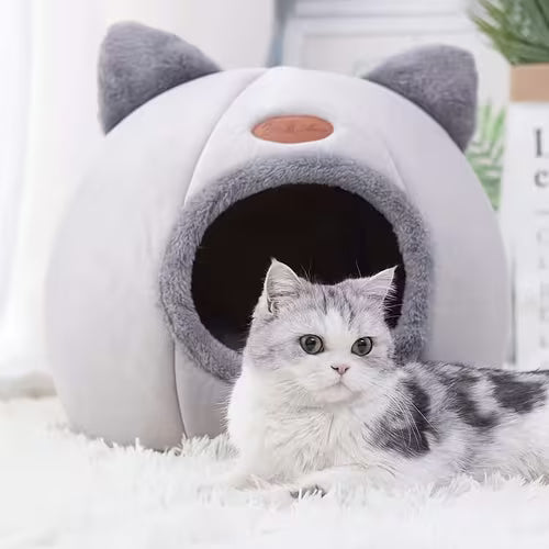 Cat's Nest