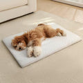 Cooling Dog Bed for Large Dogs