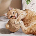Pet Supplies