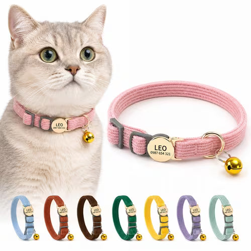 Custom Cat Collar with Bell