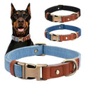 Pet Collar and Leash Set