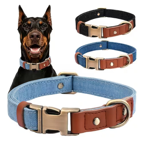 Pet Collar and Leash Set