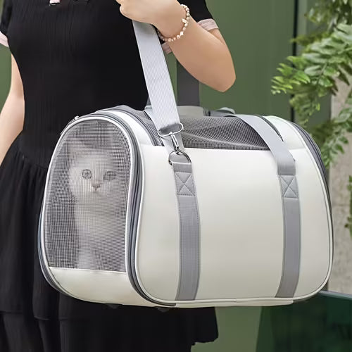 Cat Bag