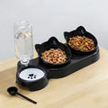 3-In-1 Cat Bowls for Kittens And Small Dogs