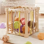 Shape Sesele Baby/6-Sided Cube Consumable